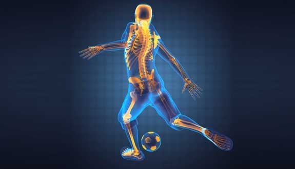 Quality Sport Science Assignments Work