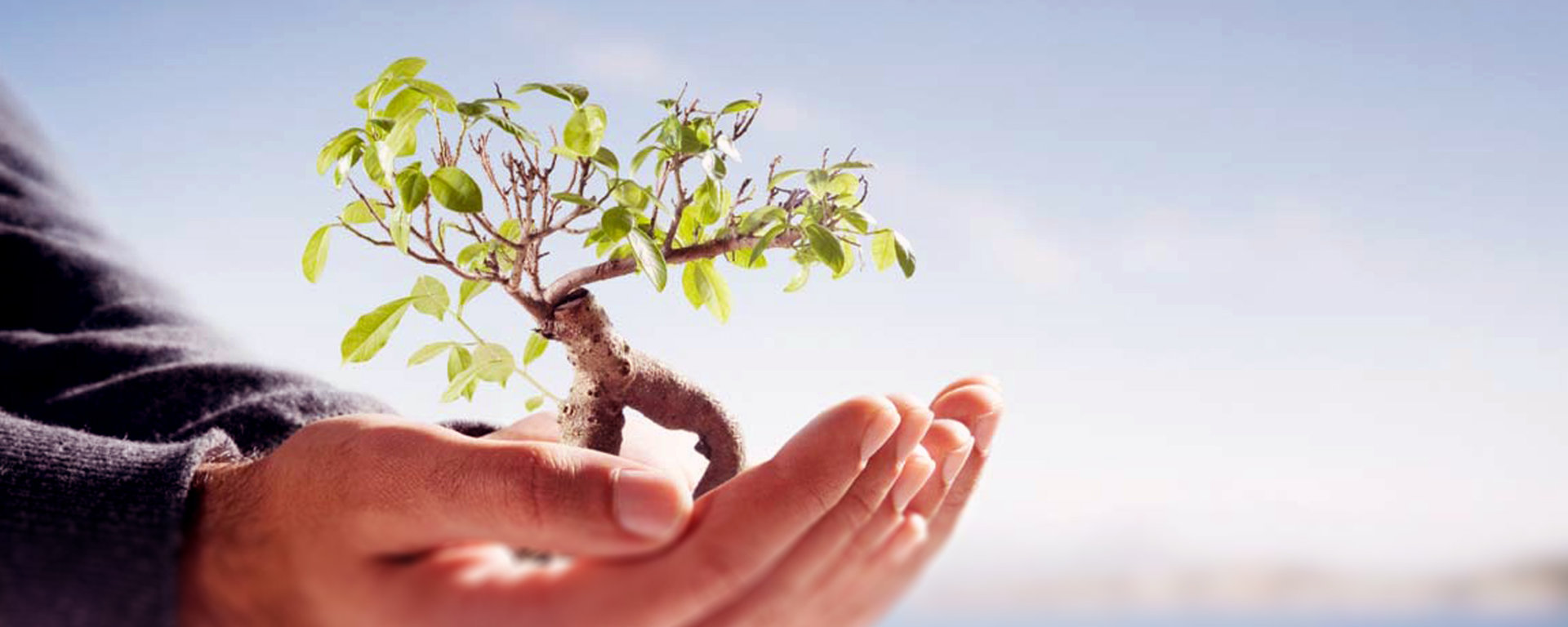 Environmental Science Writing from experienced writers